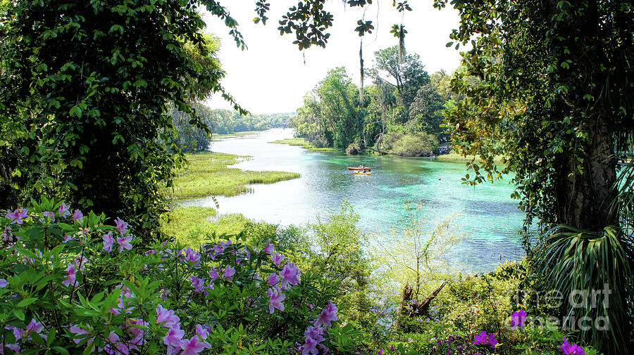 Spring In Rainbow Springs State Park, Florida Photograph by Felix Lai