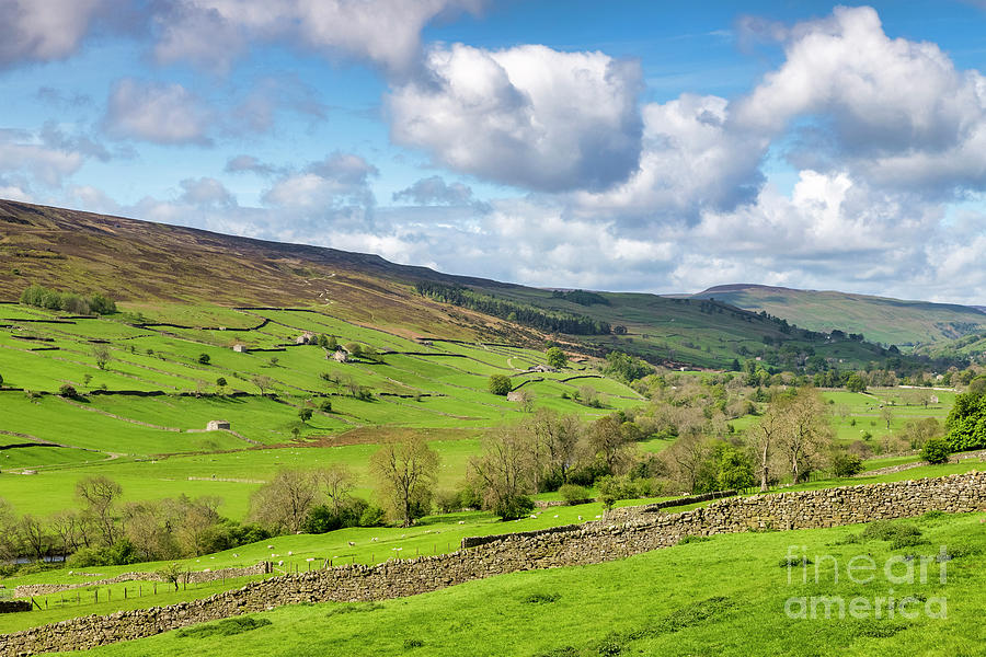 Spring in Swaledale, North Yorkshire, UK Photograph by Colin and Linda McKie