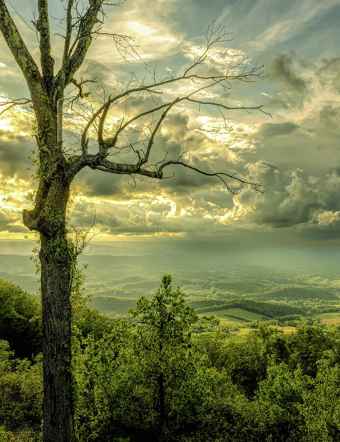 Spring in the Blue Ridge Photograph by Norma Brandsberg