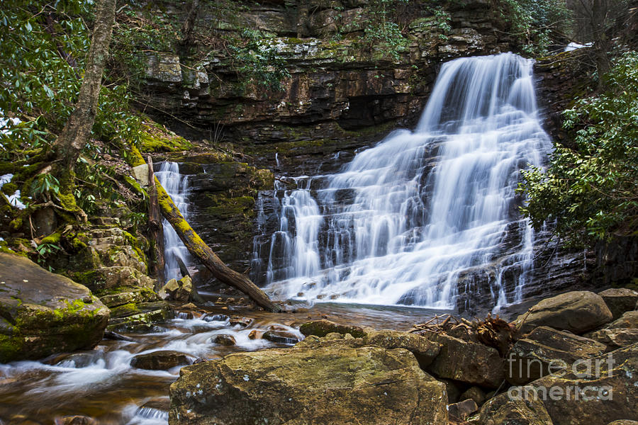 Spring in the Cherokee National Forest Photograph by Theresa D Williams