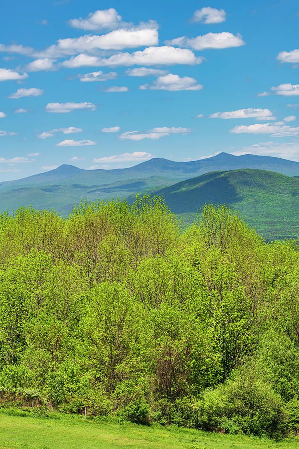 Spring In The Green Mountains 2 Photograph by Alan L Graham