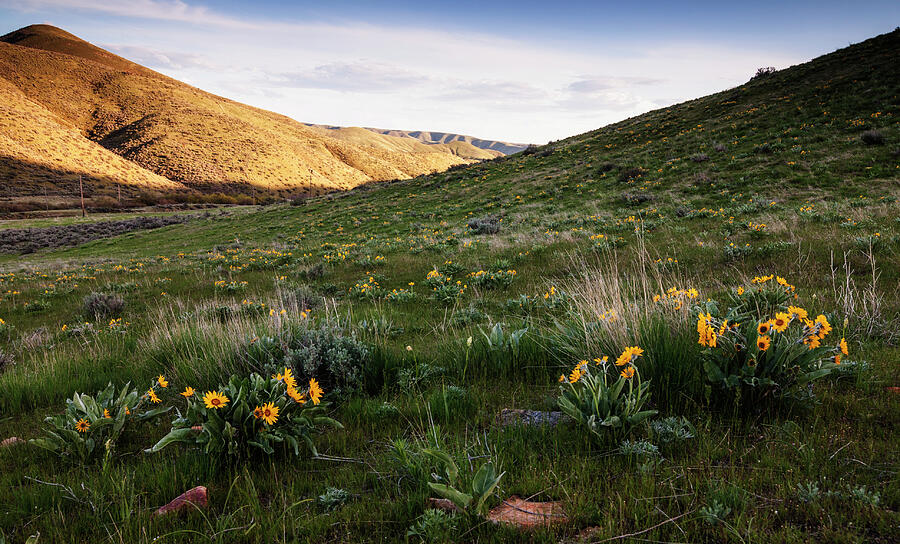 Spring in the hills of Boise Idaho USA Photograph by Vishwanath Bhat