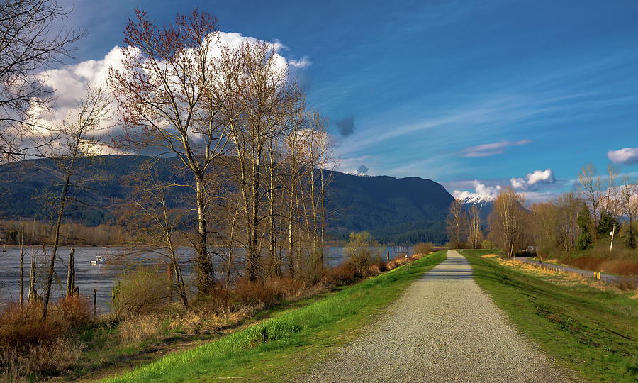 Spring  in the Pitt River Valley  Photograph by Alex Lyubar