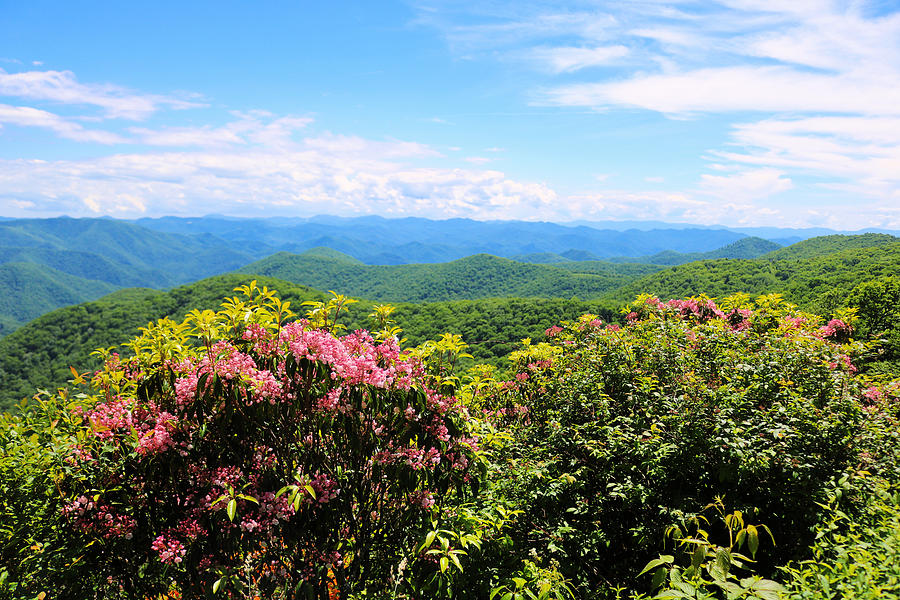 Spring in the Smokies Photograph by Chuck Irwin - Fine Art America