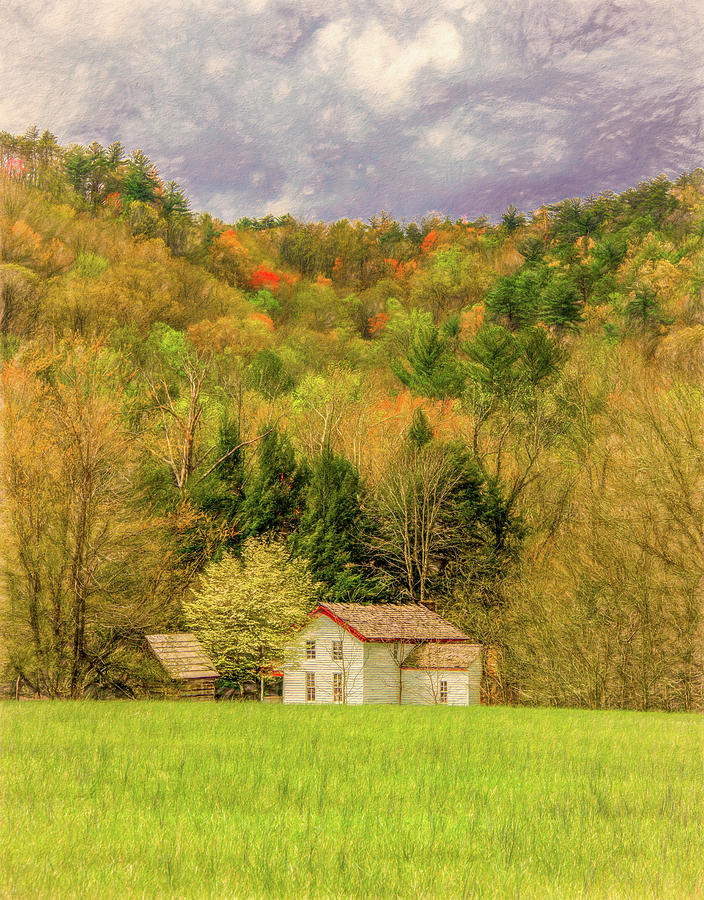 Spring in the Smoky Mountains, Vertical Photograph by Marcy Wielfaert