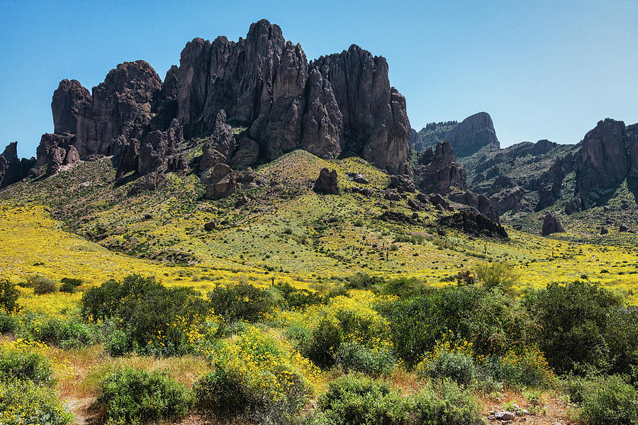 Spring In The Southwest Photograph by Saija Lehtonen Pixels