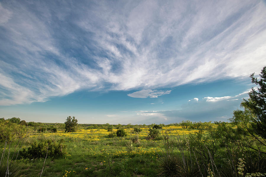 Spring in the Texas Panhandle Photograph by Karen Slagle