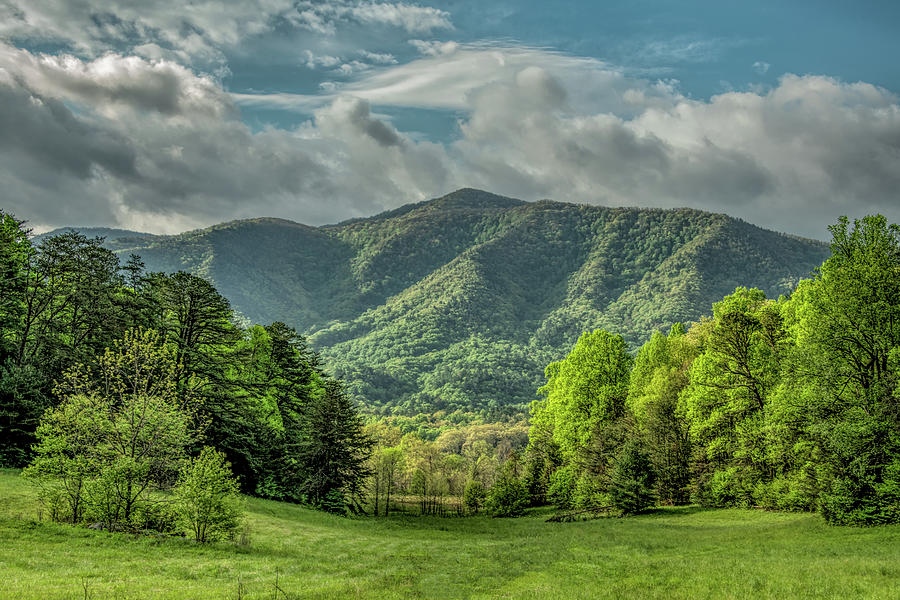 Spring in the Valley, A Cades Cove Landscape Photograph by Marcy Wielfaert