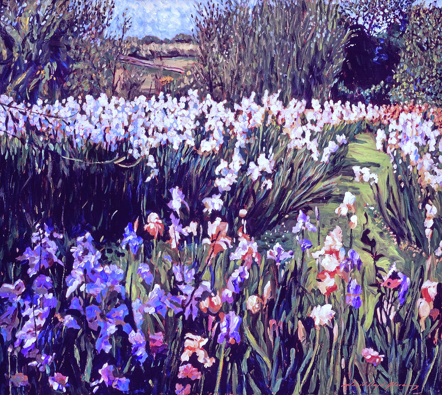 Spring Irises Painting