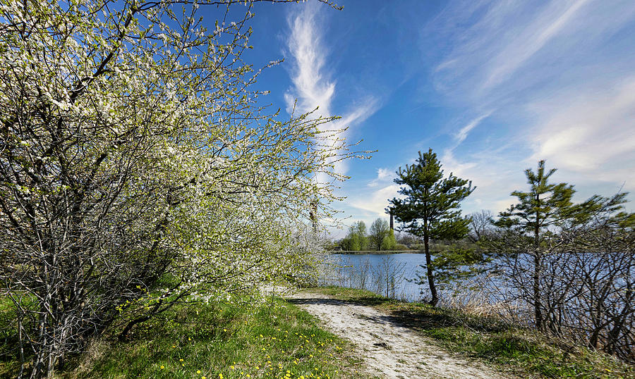 Spring Is Everywhere / Latvia  Photograph by Aleksandrs Drozdovs