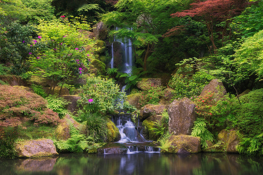 Spring Japanese Garden with Waterfall Photograph by TerenceLeezy