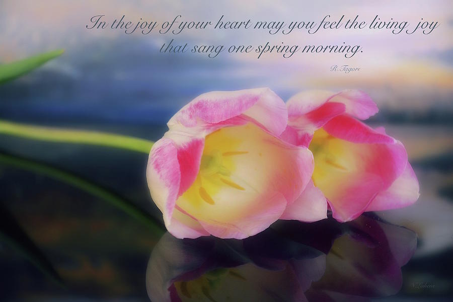 Tulips Photograph - Spring Joy by Norma A Lahens Tulips Photograph - Spring Joy by Norma A Lahens