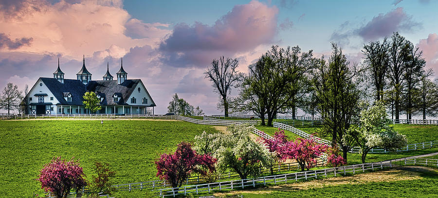 Spring Kentucky Horse Farm Photograph by Randall Branham