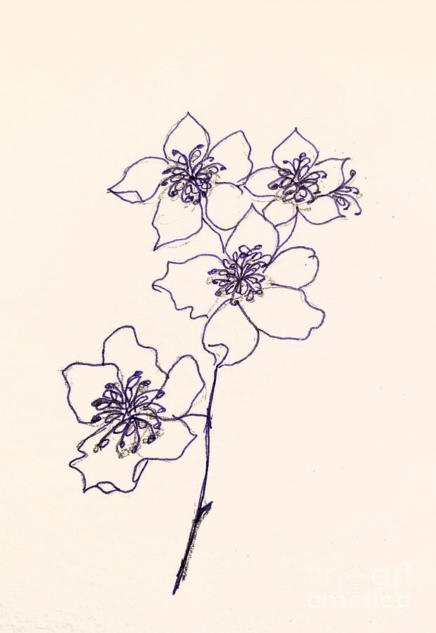 Spring Line Drawing  Painting by Margaret Welsh Willowsilk