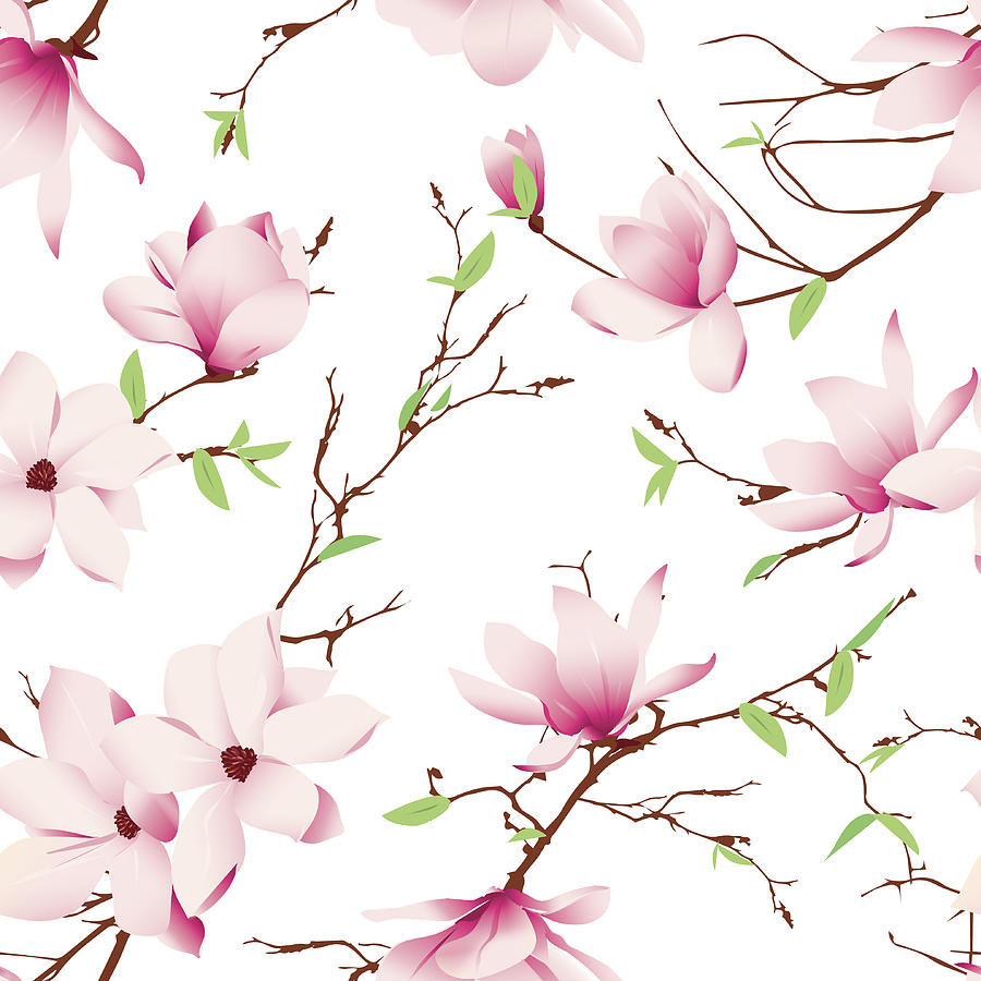 Spring magnolia flowers seamless vector pattern Drawing by Lavendertime