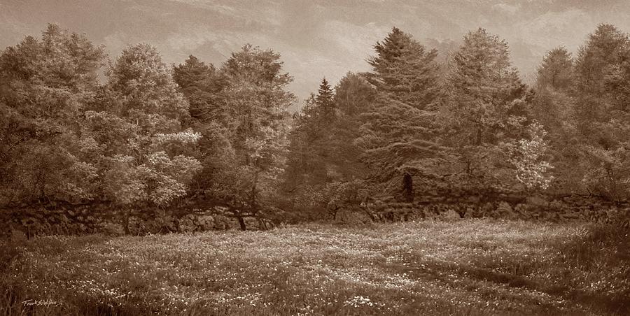 Spring Meadow in Sepia Painting by Frank Wilson