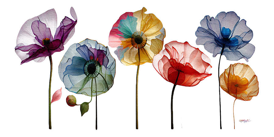 Spring Momentum, Poppies in Bloom II Digital Art by OLena Art by Lena Owens - Vibrant DESIGN