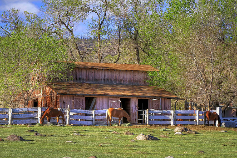 Spring Morning at the Barn Photograph by Donna Kennedy