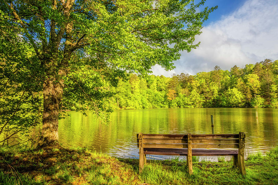 Spring Morning Bench at the Lake Photograph by Debra and Dave Vanderlaan