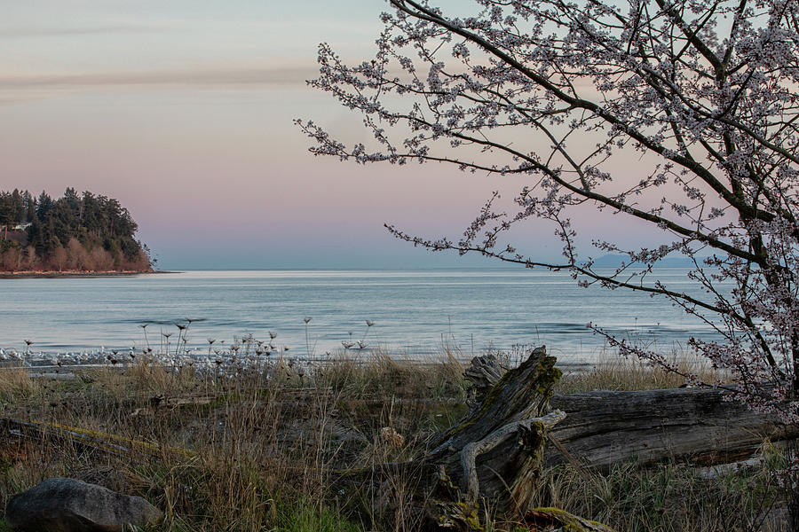 Spring Morning in Parksville Photograph by Randy Hall