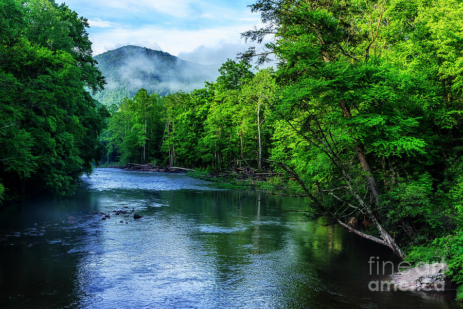 Spring Morning Mist on Williams River  Photograph by Thomas R Fletcher
