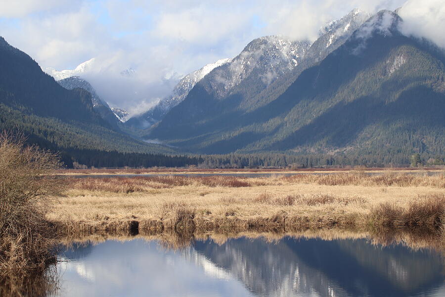 First Snow Mountain Marsh Reflections Photograph