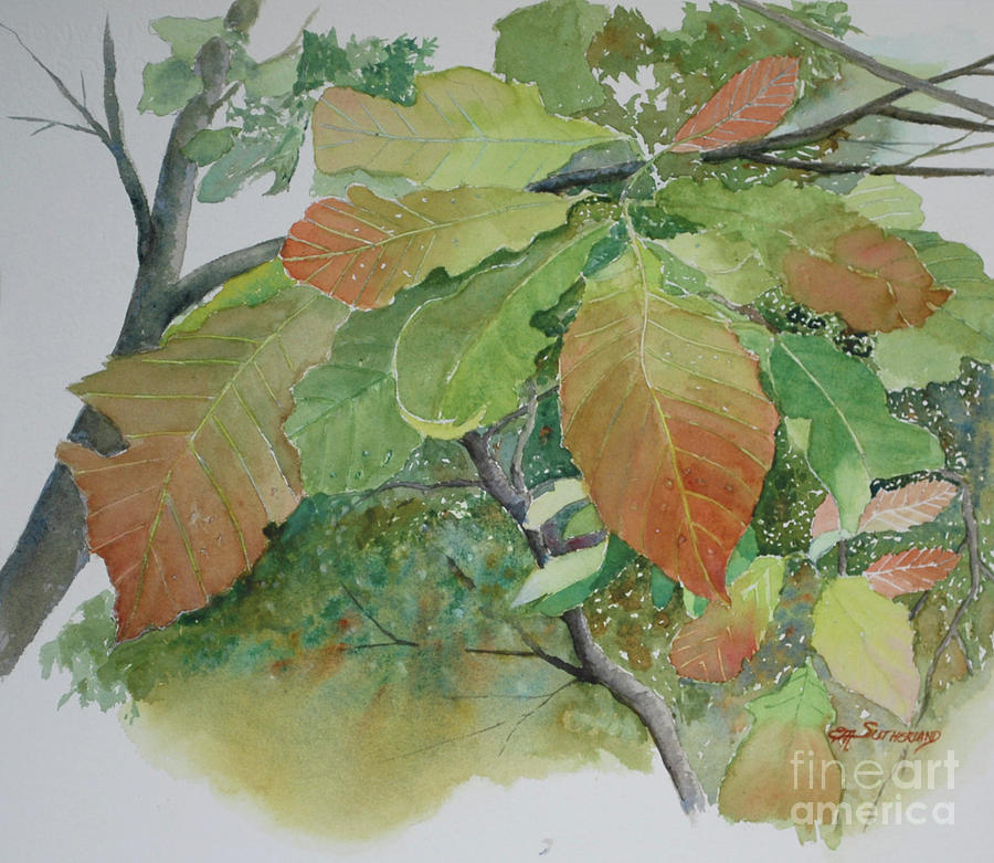 Spring Oak Leaves Painting by E M Sutherland