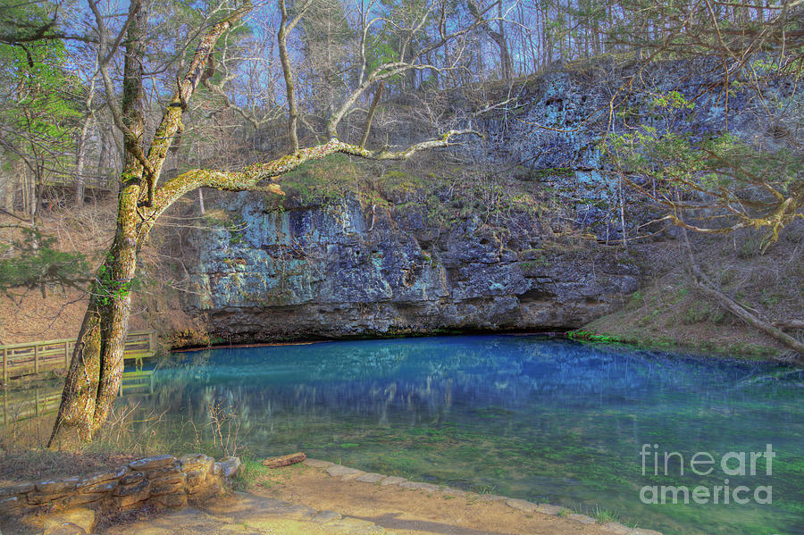 Nature Photograph - Blue Springs by Larry Braun