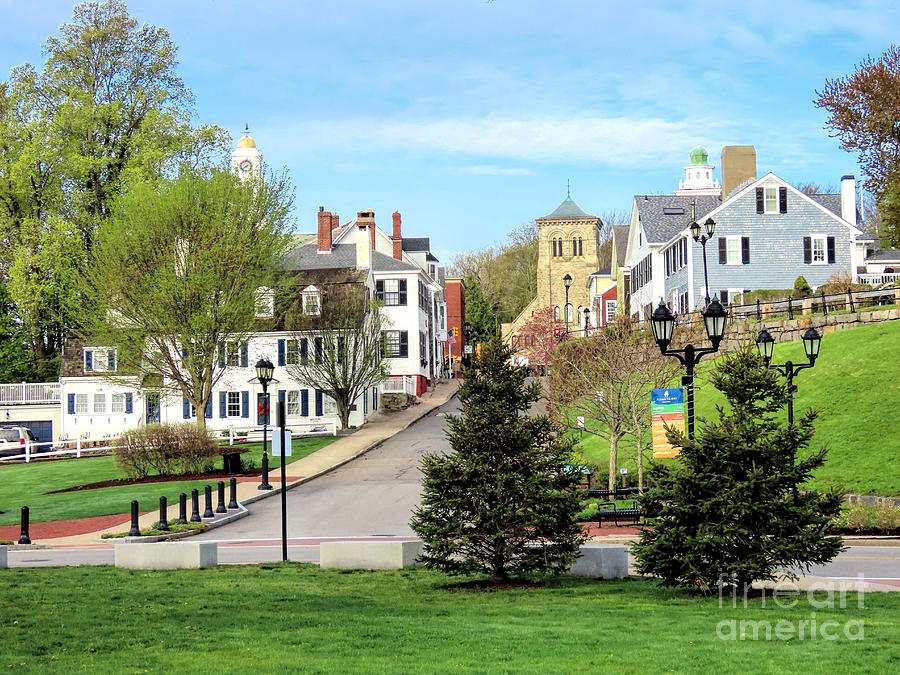 Spring on Leyden Street Photograph by Janice Drew