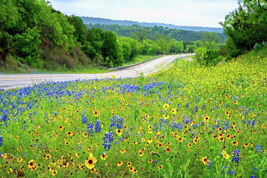 Spring on the Backroads Photograph by Lynn Bauer