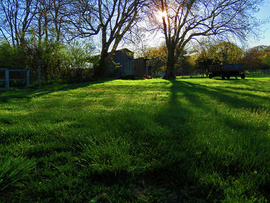 Summer On The Farm Photograph By Dianne Cowen Photography - Fine Art 