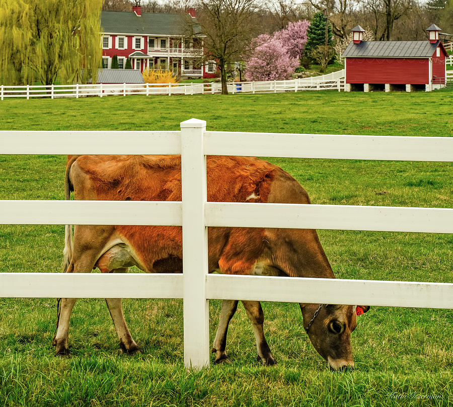 Spring on the Farm Photograph by Kathi Isserman