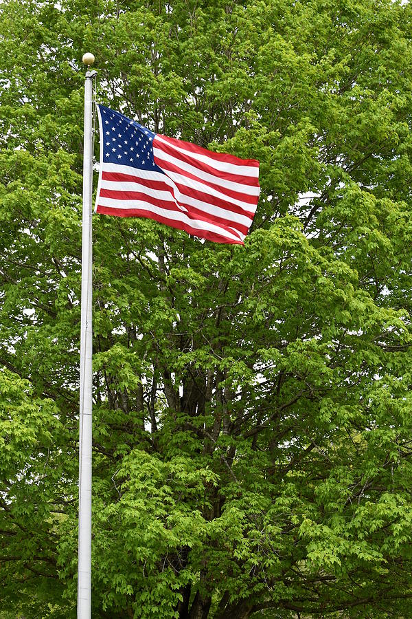 Spring Park American Flag Photograph by Kathy K McClellan