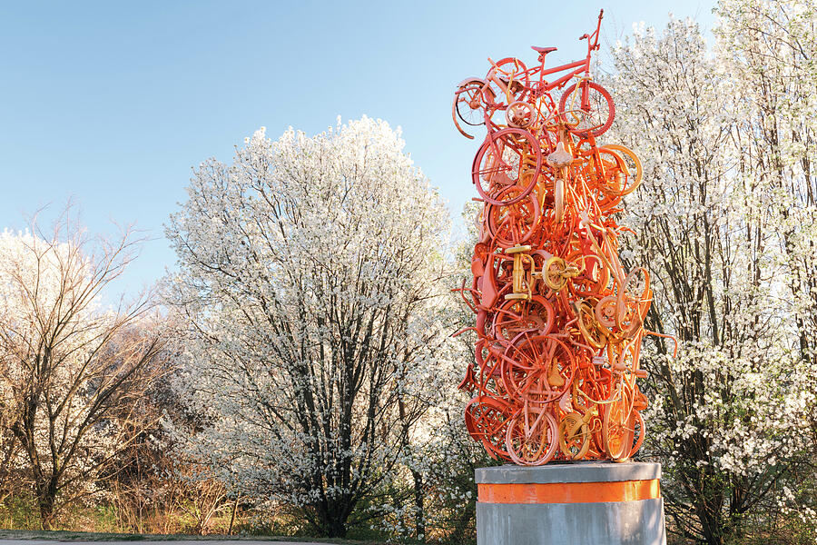 Spring Pedaler Perfection Along The Razorback Greenway Trails Photograph by Gregory Ballos Spring Pedaler Perfection Along The Razorback Greenway Trails Photograph by Gregory Ballos