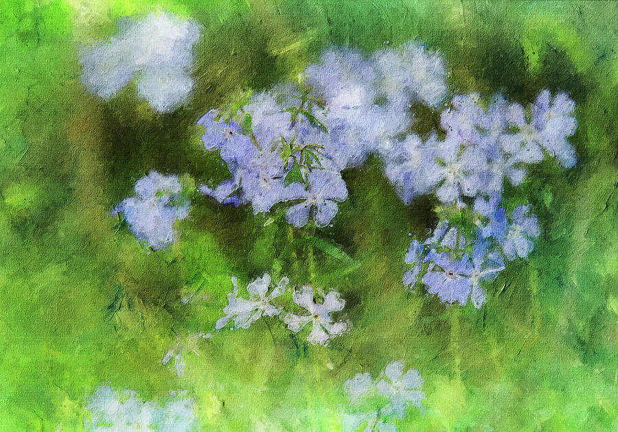 Spring Phlox Painting Painting by Dan Sproul