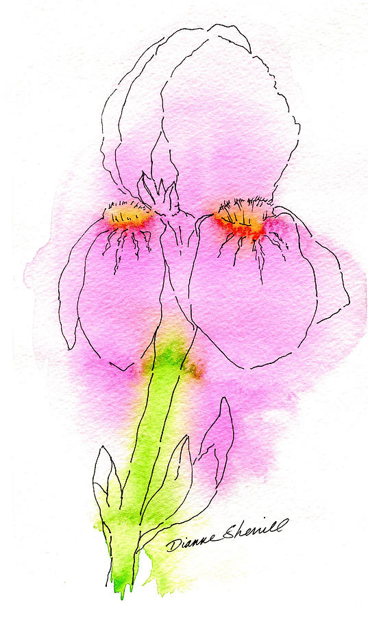 Spring Pink Iris Mixed Media by Dianne Sherrill