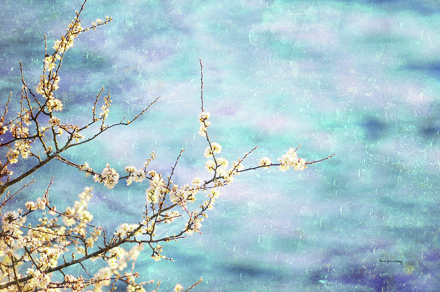 Spring Poetry Photograph by Randi Grace Nilsberg