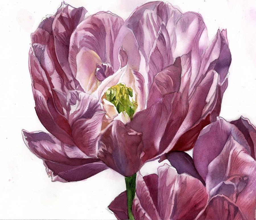 Spring Ranunculus Painting by Alfred Ng