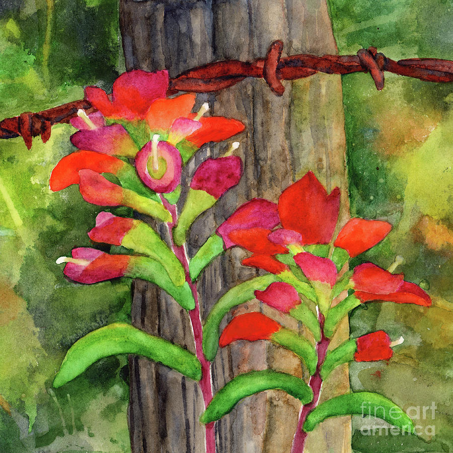 Spring Red-Indian Paintbrush Painting by Hailey E Herrera