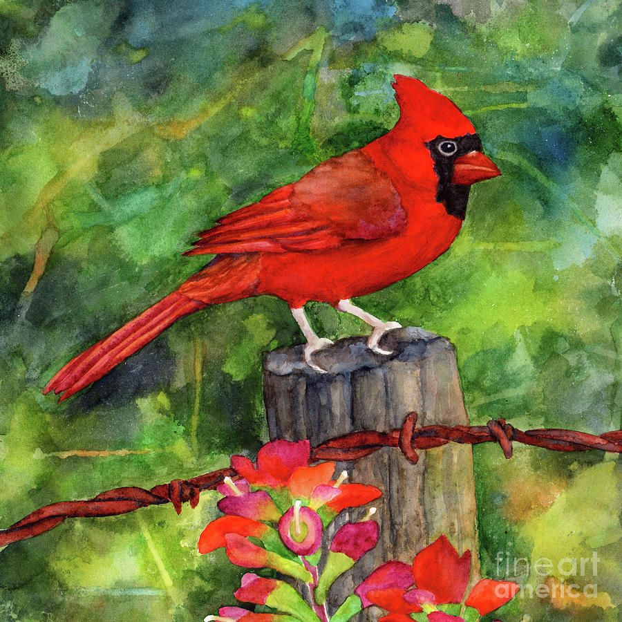 Spring Red - Male Cardinal Painting