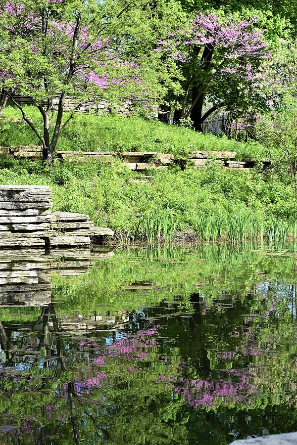 SPring Reflection Photograph by Debbie Turrisi - Fine Art America