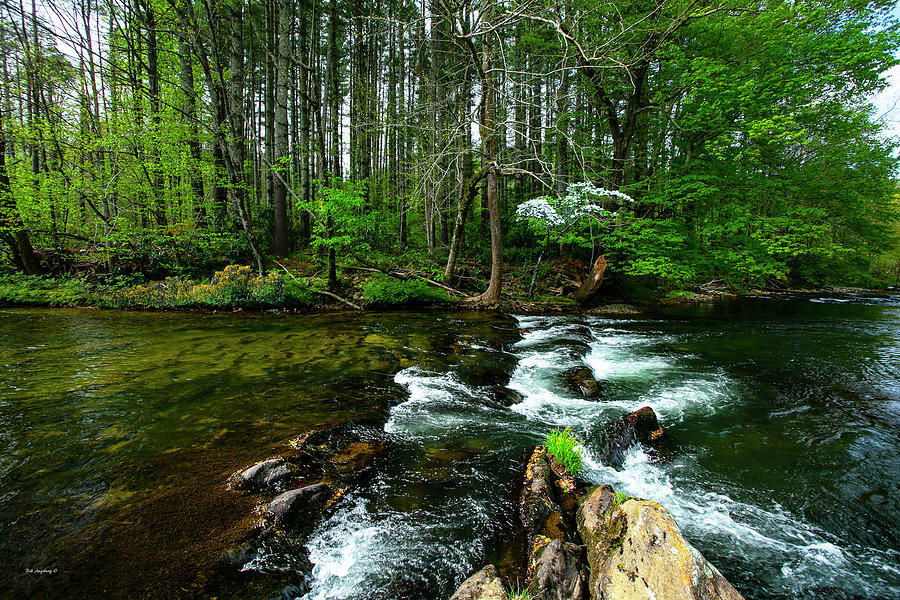 Spring river #9807 Photograph by Bob Augsburg - Fine Art America