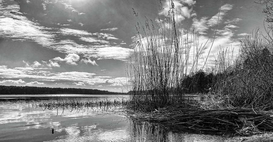 Spring Riverside In Black And White  Photograph by Aleksandrs Drozdovs