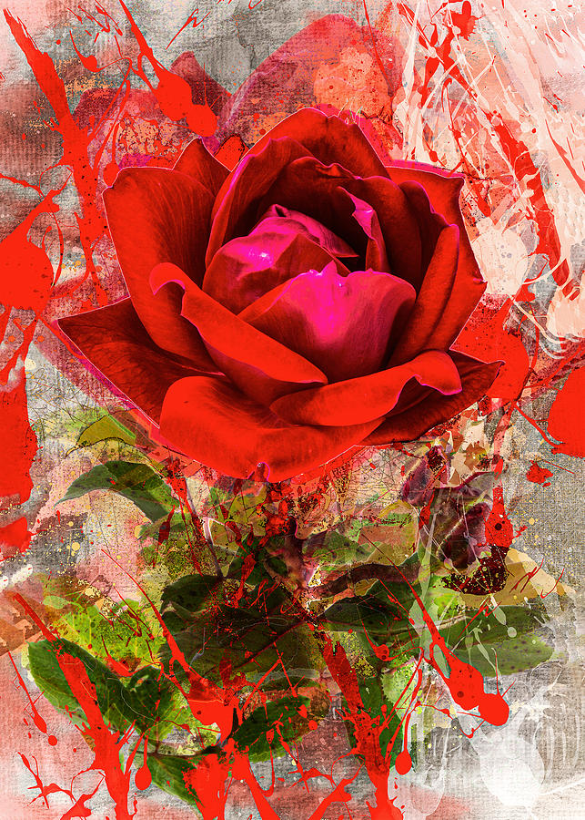 Spring Rose Digital Art by Anthony Ellis