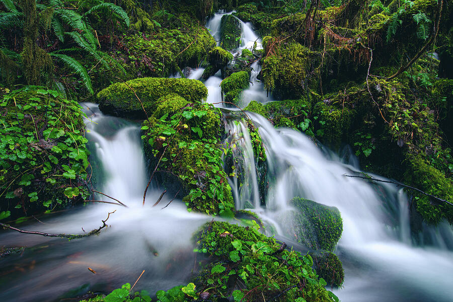 Spring Runoff Creeks Photograph by Matthew Alberts - Fine Art America