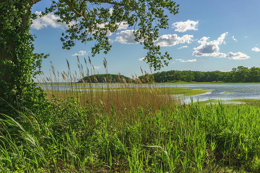Spring Salt Marsh at High Tide Photograph by Marianne Campolongo