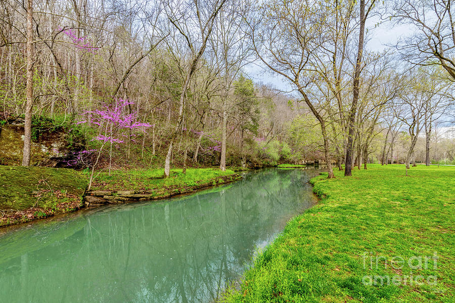 Spring Season At Dogwood Creek Photograph by Jennifer White