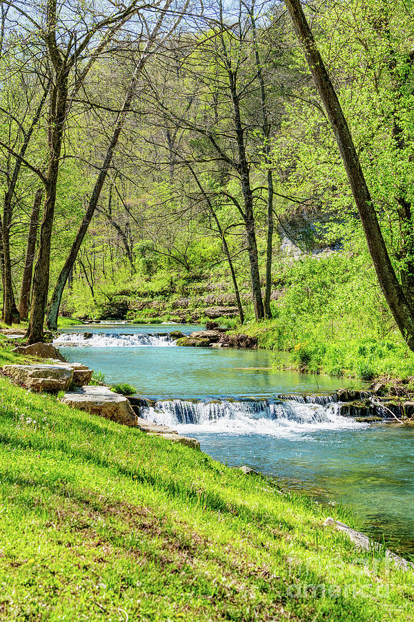 Spring Season Dogwood Creek Waterfalls Photograph by Jennifer White