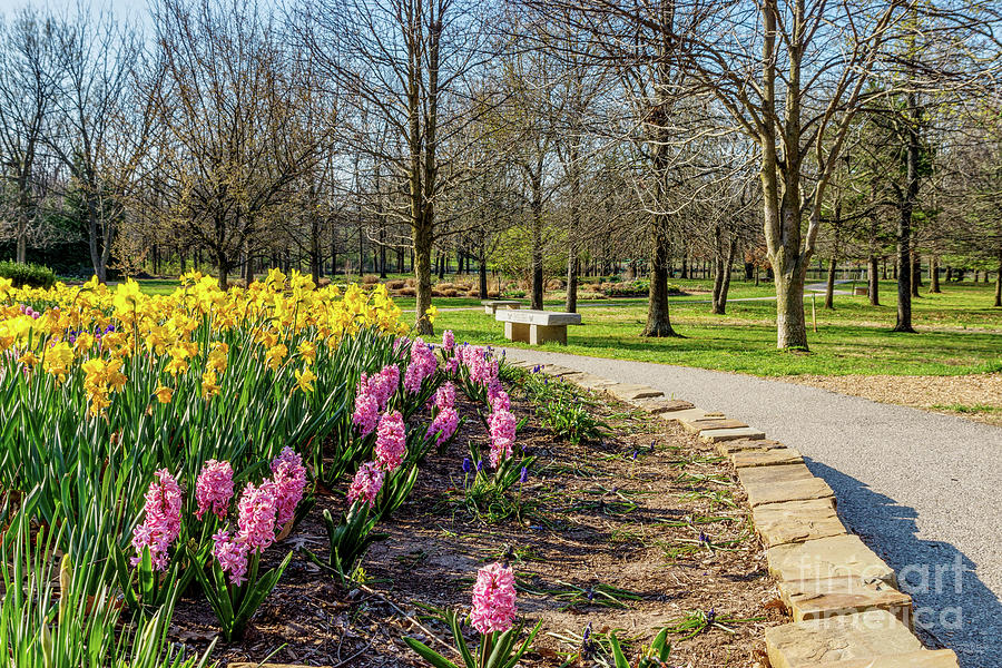 Flower Photograph - Spring Season Flower Garden Walkway by Jennifer White