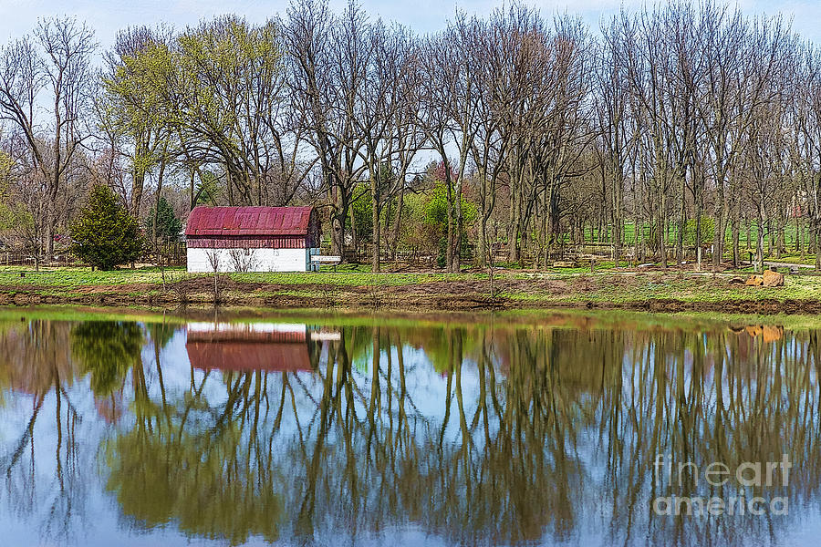 Tree Photograph - Spring Season Reflections Painterly by Jennifer White